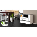 ALFA PLAM Štednjak na kruta goriva 90H DOMINANT ECO