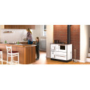 ALFA PLAM Štednjak na kruta goriva za centralno TERM 27 ECO